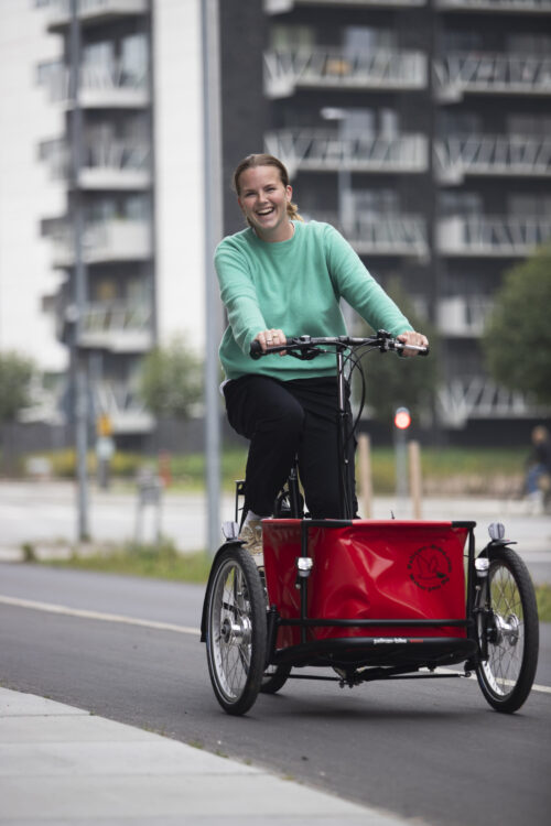 Pelican-Bike ladcykel